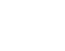 Fizzi Events logo