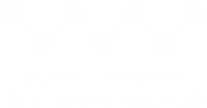 South Yorkshire Filmmakers Network (SYFN) logo